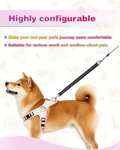 Elastic Bungee Dog Leash Extender, Shock Absorbing, Reflective, 360° Swivel Clip, for Running, Walking, Cycling, 2 Pack