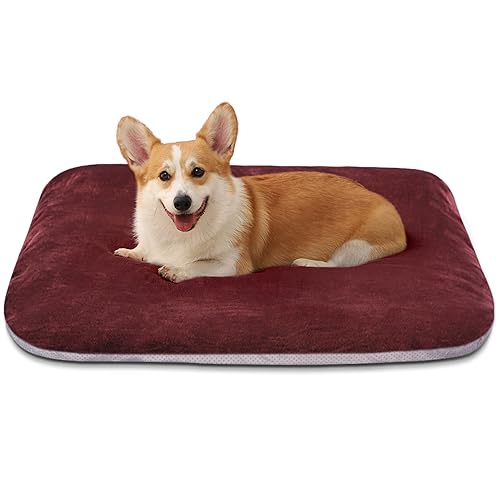 Magic Dog Super Soft Medium Dog Bed, 32 Inch Orthopedic Foam Pet Bed with Anti Slip Bottom, Removable Washable Cover, Burgundy - color: Burgundy, size: 32.0"L x 24.0"W x 3.0"Th