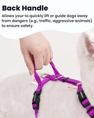 No Pull Dog Harness, Small, Purple/Black | Non Restrictive, Neck Buckle Design, Six Points Adjustment, Lightweight Easy Walk, Small Dogs Chest(17-23inches) - color: Purple/Black, size: Small