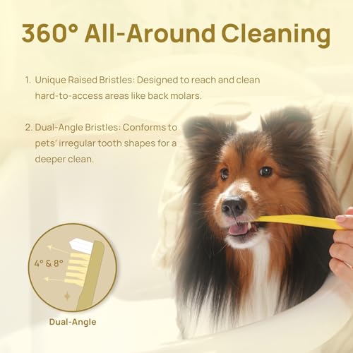 HICC PET Toothbrush for Cats & Small Dogs,Ergonomic Pet Toothbrush for Easy Teeth Cleaning,Gentle on Gums, Cat & Dog Dental Care – Toothpaste Not Included - color: Yellow for Cats & Small Dogs