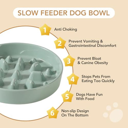 Havniva Ceramic Slow Feeder Dog Bowls, 1.6 Cups Dog Bowl Slow Feeding for Medium Breed, 8.2inch Puzzle Dog Food Bowl Slow Feeder Non-Slip Anti-Gulping and Anti-Choking Reduces Bloating - color: 1 x Light Green-C, size: 8.2inch