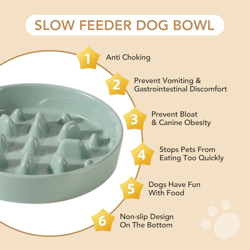 Havniva Ceramic Slow Feeder Dog Bowls, 1.6 Cups Dog Bowl Slow Feeding for Medium Breed, 8.2inch Puzzle Dog Food Bowl Slow Feeder Non-Slip Anti-Gulping and Anti-Choking Reduces Bloating - color: 1 x Light Green-C, size: 8.2inch