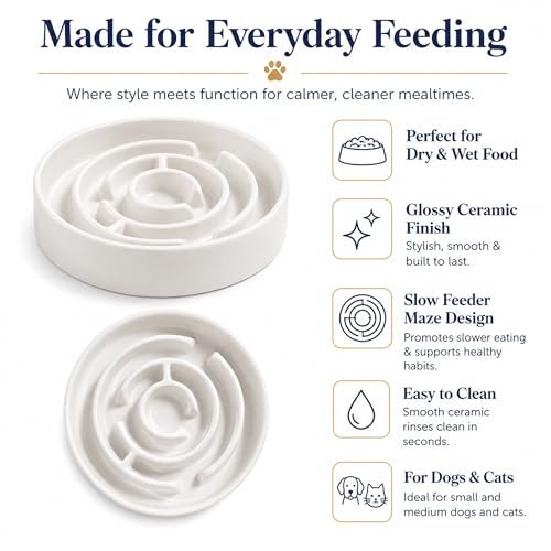 Ceramic Slow Feeder Dog Bowls with Anti-Slip, Slow Feeder & Non-Slip Design, Boredom and Anxiety Reducer, Suitable for All Breed Dogs and Cat (Ceramic-White) - color: Ceramic-White