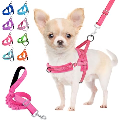 Lukovee No Pull Dog Harness and Leash Set, Soft Padded Small Dog Harness, Neck & Chest Adjustable Reflective Vest Puppy Harness with 4ft Lightweight Anti-Twist Dog Leash for Small Dogs (XS, Pink) - color: B-pink, size: XS ( Chest 14'' ~ 18'')
