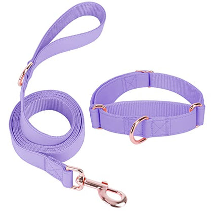 Soft Leather Martingale Dog Collar - Adjustable Rose Gold Limited Slip Collars [Easy to Clean], Stylish Durable Heavy Duty Nylon No Pull Training Collar for Small Medium Large Dogs (XS, Set Purple) - color: Set Purple, size: XS (Neck 8"-11", Width 3/5")