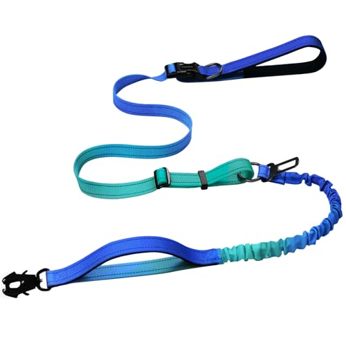 Heavy Duty Hands Free Dog Leash with Quick Release Carabiner and Adjustable No Pull Bungee Dog Running Waist Leash，for Walking and Training with Car Seat Belt 4-6FT (Aquamarine) - color: Aquamarine