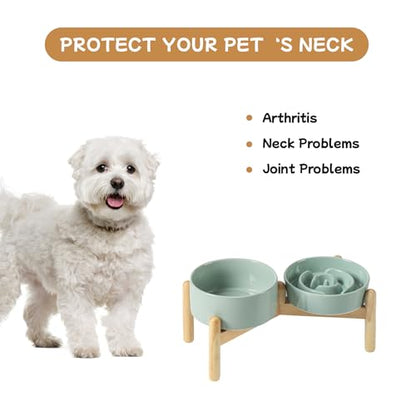 Havniva 6.1” Raised Slow Feeder Dog Bowls Set, 0.9 Cups Ceramic Slow Feeder Dog Bowl and 6.1” Dog Water Bowl with Elevated Wooden Stand Puzzle Dog Food Bowl for Small Dogs Anti-Gulping & Anti-Choking - color: 2 x Light Green+Stand-A, size: 6.1inch-New