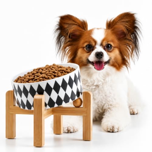 Petygooing Raised/Elevated 15°Slanted Ceramic Dog Bowl for Small Breeds,Tilted Anti Slip Pet Bowl,Food Water Dish with Stand for Cats and Small Dogs Puppy 13.5 OZ (5.1In / 1.7 Cups) Black Rhombus - color: Black Rhombus, size: 1.7 CUPS - Puppy/Small Dogs &