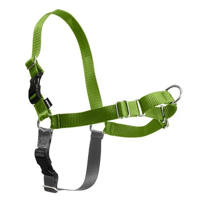 PetSafe Easy Walk No-Pull Dog Harness - Ultimate Harness to Help Stop Pulling - Pull-Free Walks - Take Control & Teach Better Leash Manners - Patented Martingale Loop Design - Apple Green, Medium - color: Apple Green/Gray, size: Medium