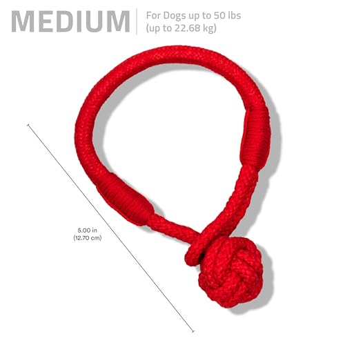 Playology Dog Toys | Tough Tug Knot for Puppies and Young Dogs | Beef Scented Medium Chew Toy Tug Rope | Tug of War Puppy Essentials - size: Medium, style: Beef