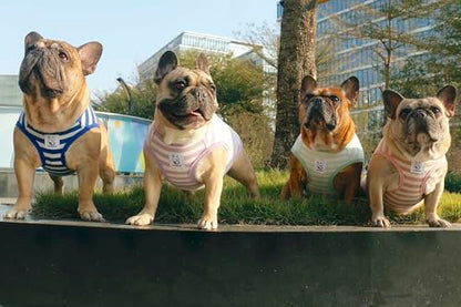 iChoue French Bulldog 100% Breathable Cotton Striped T Shirts Halloween Vest Clothes for Medium Dogs Tank Tops Frenchie Pug English Boston Terrier Pitbull Pink White Stripes - Large Plus - color: Classic Stripe White Pink, size: Large Plus ( 35 - 45 lbs )