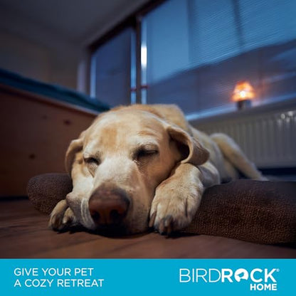 BIRDROCK HOME 2" Memory Foam Dog Beds | Ultra Soft Plush Pet Bed | Removable Cover | Pet | Crate Bed (40 X 26, Brown) - size: Large