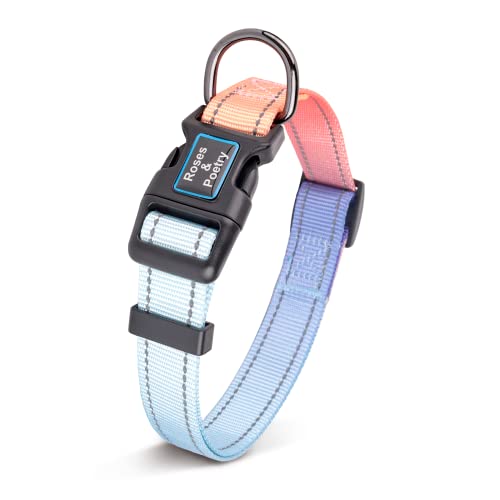 Roses&Poetry Reflective Small Dog Collar and Leash Set, Puppy Leashes with Collars, Adjustable Durable Matching Nylon Pet Collar Leash for Walking,Playing,Training (Azure-XS) - color: Azure, size: XS