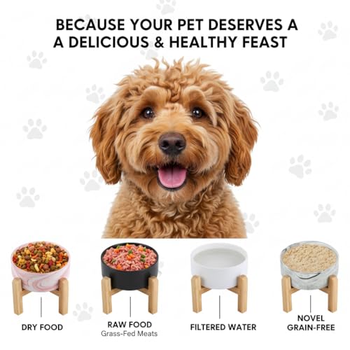 Elevated/Raised Ceramic Dog Bowl with Bamboo Stand,Marble Pattern 6 Inch 3.6 Cups Non Slip Heavy Weighted Single Pet Dish, for Small Medium Breed & Cats,Reduces Neck Strain Marble Pink - color: Marble Pink, size: 3.6 Cups - Medium