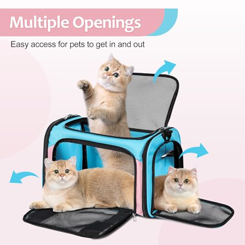 Discala Cat Dog Carrier Up to 15 Lbs TSA Airline Approved Pet Carrier for Small Medium Cats Puppies Dog Carriers for Small Dogs Collapsible Soft Sided Cat Travel Carrier - Blue&Pink 17"x11"x11" - color: Blue&Pink