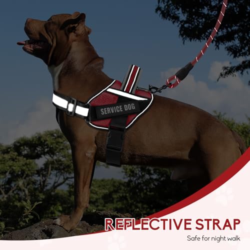 Service Dog Vest Harness and Leash Set, Animire in Training Dog Harness with 10 Dog Patches, Reflective Dog Leash with Soft Padded Handle for Small, Medium, Large, and Extra-Large Dogs (RED,S) - color: Red, size: S
