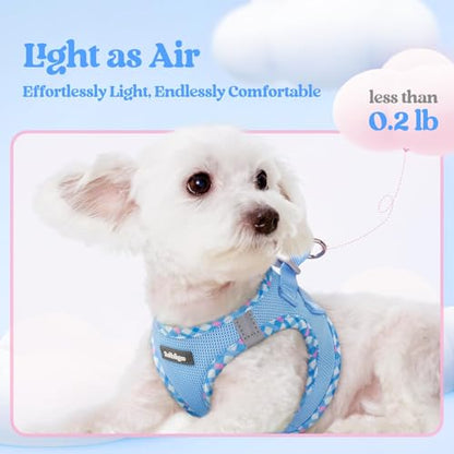 rabbitgoo Dog Harness Small Sized and Leash Set, Step in Soft Light Puppy Vest, Breathable Mesh Pet Harness, Reflective for Safe Easy Walking, Blue & Plaid Trim XXS - color: Blue & Plaid Trim, size: Xxs (chest: 12.4 - 14.2")
