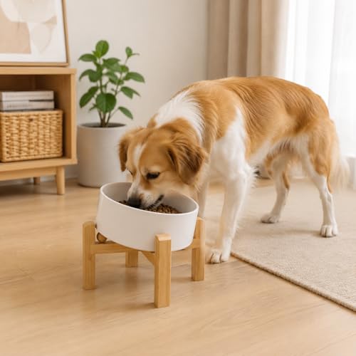 hjn Elevated Ceramic Dog Bowl 15°Slanted Raised Dog Bowl with Bamboo Stand for Small Medium Dogs and Cats, Pet Feeder -3.6-Cup (850ml)-White - color: White, size: 3.6Cup