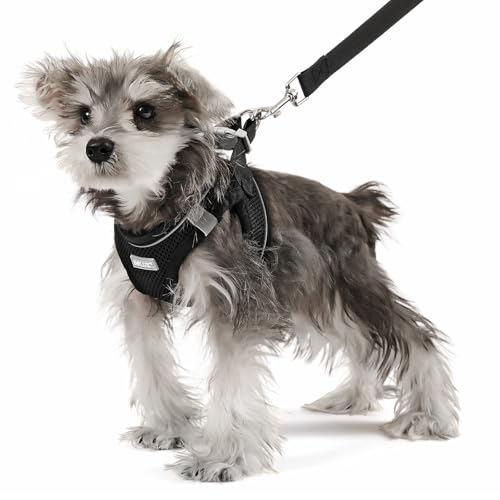 Dog Harness Small Sized and Leash Set, Step in Soft Light Puppy Vest, Breathable Mesh Pet Harness, Reflective for Safe Easy Walking. - color: Black, size: X-Small (Pack of 1)