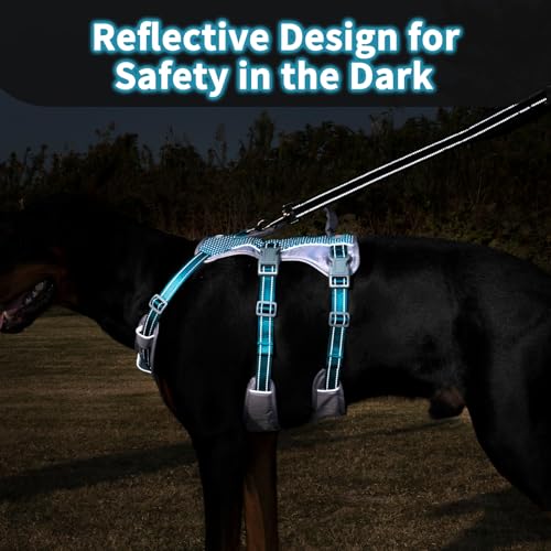 Huntboo Reflective Dog Harness with Handle, Escape Proof, No Slip, Breathable, Lightweight, Adjustable Lift Harness for Small, Medium, and Large Dogs Walking, Training, and Running Gear(Teal Blue,M) - color: Teal Blue, size: Medium (Pack of 1)