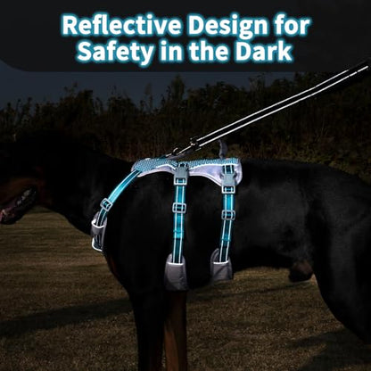 Huntboo Reflective Dog Harness with Handle, Escape Proof, No Slip, Breathable, Lightweight, Adjustable Lift Harness for Small, Medium, and Large Dogs Walking, Training, and Running Gear(Teal Blue,M) - color: Teal Blue, size: Medium (Pack of 1)