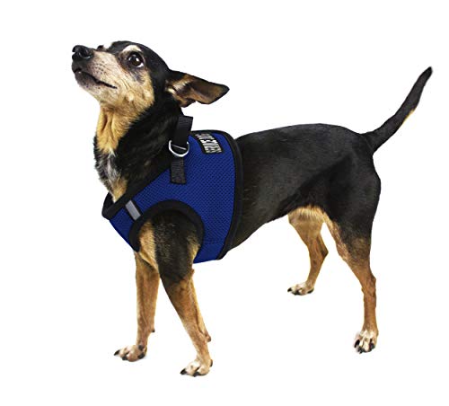 Dogline Boston Step in Mesh Dog Harness with Service Dog Patch No Choke Pet Vest Soft Gentle Padded Chest Halter for Puppies Small Medium and Large Dogs 21 to 24 inches Girth Royal Blue - color: Royal Blue, size: Girth 21 to 24"