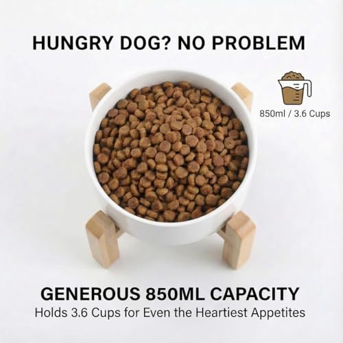 hjn Elevated Ceramic Dog Bowl 15°Slanted Raised Dog Bowl with Bamboo Stand for Small Medium Dogs and Cats, Pet Feeder -3.6-Cup (850ml)-White - color: White, size: 3.6Cup
