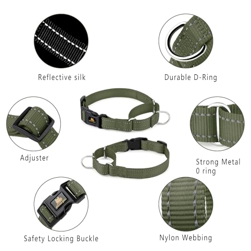PLUTUS PET Reflective Martingale Collar with Quick Snap Buckle,No Pull Dog Choker Collar for Small Medium Large Dogs,XS,Ranger Green - color: Ranger Green, size: XS：10"-12"