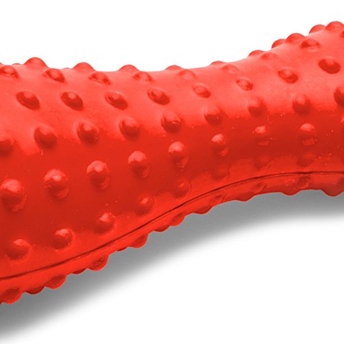 Ruffwear, Gourdo Natural Rubber Throw Toy for Dogs with Rope Handle, Sockeye Red, Small - color: Sockeye Red, size: Small