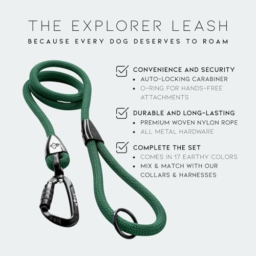 MADE TO ROAM Premium Explorer Leash - Climbing Rope Leash with Autolocking Aviation Aluminum Carabiner - Montana Moonrise, 6ft - color: Montana Moonrise, size: 6 Feet