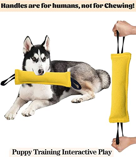 Clysoru Dog Tug Toy Double Pack Tough Jute Bite Pillow Training Equipment Puppy to Large Dogs Interactive - color: orange yellow