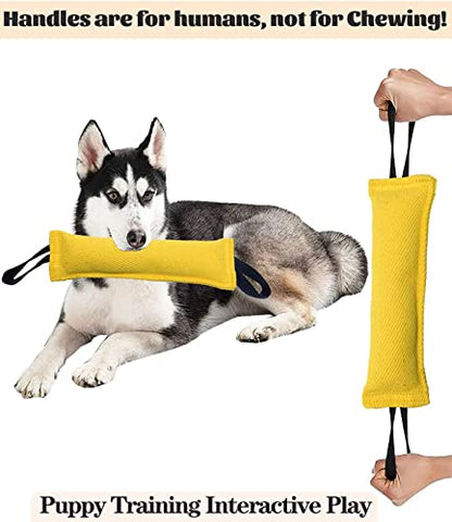 Clysoru Dog Tug Toy Double Pack Tough Jute Bite Pillow Training Equipment Puppy to Large Dogs Interactive - color: orange yellow