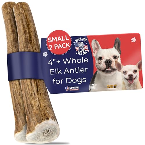 Devil Dog Pet Co. Elk Antlers for Dogs, Natural Dog Chew for Aggressive Chewers - Long Lasting and Odor Free - USA Sourced - Cleaner Teeth, Anxiety & Boredom Relief - Whole Small 4"+ 2 Pack - style: WHOLE - Small - 2 Pack