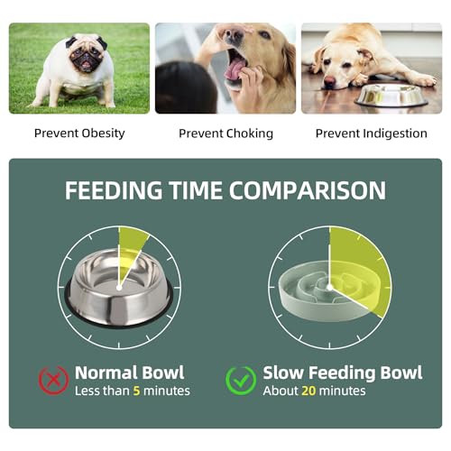 Havniva 8.2” Raised Slow Feeder Dog Bowls Set, 1.6 Cups Ceramic Slow Feeder Dog Bowl and 7.3” Dog Water Bowl with Elevated Wooden Stand Puzzle Dog Food Bowl for Medium Dogs Anti-Gulping & Anti-Choking - color: 2 x Light Green+Stand-A, size: 8.2inch