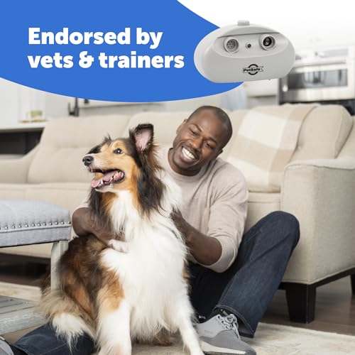 PetSafe Indoor Ultrasonic Dog Bark Control - No Collar Needed - Up to 25 ft Range - Anti-Bark Pet Training System - Automatic with Manual Trainer Button (Pack of 6) - size: 1 Count (Pack of 6)