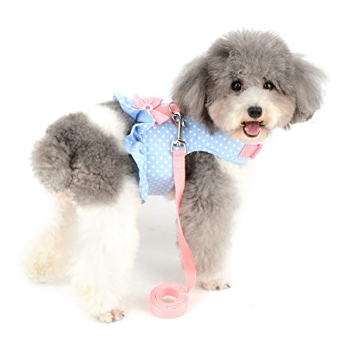 Zunea No Pull Small Dog Girl Harness Dress Escape Proof Cat Kitten Vest Harness Leash Set Step-in Soft Cotton Padded Polka Dot Jacket Chihuahua Puppy Clothes with Cute Bow for Walking Blue S - color: blue dots, size: S (Chest:14.5-15.7", Neck:9-9.8")