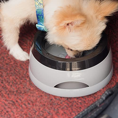 Dog Water Bowl,No-Spill Pet Water Bowl,Non Slip Bottom,750mL/25oz Slow Water Feeders,for Dogs,Cats - color: A-1
