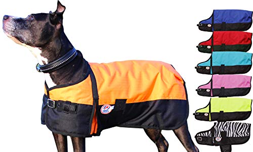 Derby Originals Horse Tough 600D Ripstop Waterproof Winter Dog Coat 150g Medium Weight - color: Orange, size: 8 in