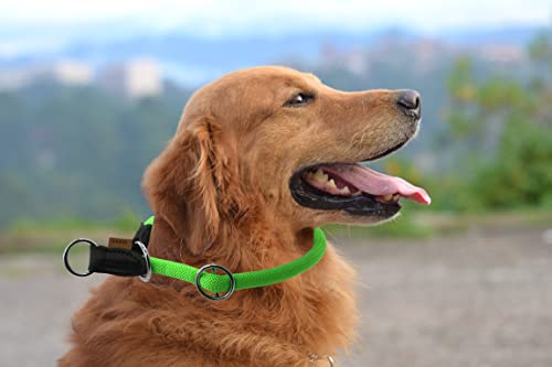 Braided Round Martingale Dog Collar, Training Collar with Slidable Stop Ring - Ideal for Medium/Large Dogs (M+(1/2") - 18" Long, Light Green) - color: Light Green, size: M+(1/2") - 18" Long