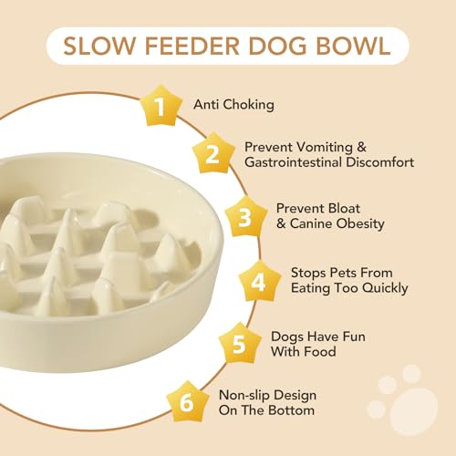Havniva 9.5” Raised Slow Feeder Dog Bowls Set, 3.2 Cups Ceramic Slow Feeder Dog Bowl and 8.2” Dog Water Bowl with Elevated Wooden Stand Puzzle Dog Food Bowl for Large Dogs Anti-Gulping & Anti-Choking - color: 2 x Light Yellow+Stand-C, size: 9.5inch