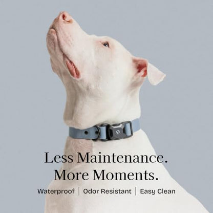 Fei & Eve VERO Dog Collar, Dusk Blue, Medium | MagEase Magnetic Buckle, Waterproof PVC, Odor Resistant, Easy Clean, Heavy Duty - color: Dusk Blue, size: M