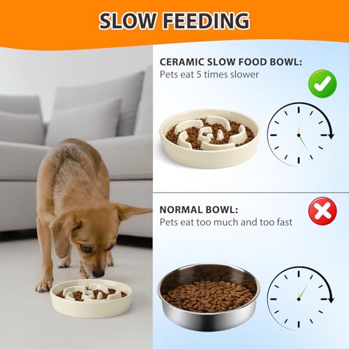 Slow Feeder Dog Bowl, Ceramic 2 Cups Dog Food Bowls for Small, Medium, and Large Breed, Anti-Slip Maze Puzzle Food Dish to Slow Down Eating (White, 2 Cups) - color: Flower - White