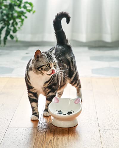 Raised Cat Food Bowl Ceramic 15° Tilted Cat Food Bowls Protect Cat's Spine Anti Vomiting Backflow Prevention Bowls for Adult Kitty, Kitten, and Small Dogs, Pink - color: Pink Ears
