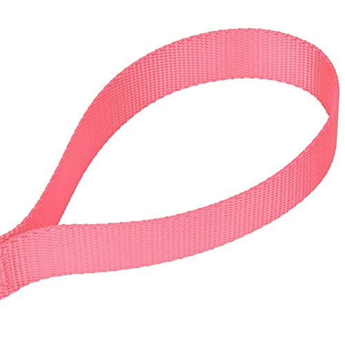 Country Brook Petz - Vibrant 17 Color Selection - Heavyduty Doublehandle Nylon Leash (6 Foot, 3/4 Inch Wide, Pink) - color: Pink