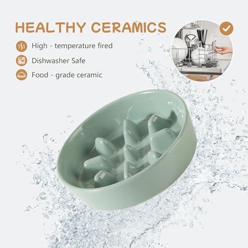 Havniva 6.1” Raised Slow Feeder Dog Bowls Set, 0.9 Cups Ceramic Slow Feeder Dog Bowl and 6.1” Dog Water Bowl with Elevated Wooden Stand Puzzle Dog Food Bowl for Small Dogs Anti-Gulping & Anti-Choking - color: 2 x Light Green+Stand-C, size: 6.1inch
