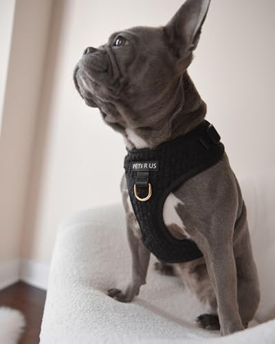 Premium No-Pull Dog Harness Soft Neoprene & Breathable Mesh Vest with Front & Back Clip D-Rings Adjustable Lightweight Walking Harness for Puppies, Small & Medium Dogs (Black Boucle, L) - color: Black Boucle, size: L: Neck=16.5-22''/Chest=22.4-32.7''