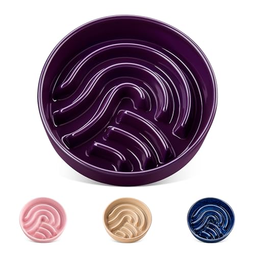 vancasso Slow Feeder Dog Bowl, 0.6 Cup Ceramic Slow Feeding Food Dish for Small Breed, Puzzle Dog Food Bowl for Fast Eater, Dark Purple - color: Dark Purple, size: S - 0.6 Cups