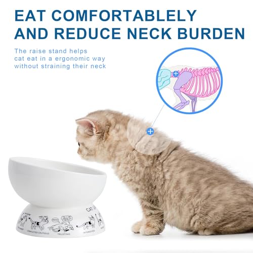 Ceramic Raised Cat Bowls | Tilted Elevated Bowl for Food and Water | Small Dog Bowl With Anti-Slip Silicone Pet Food Mat | 2 Pack Black Set - color: black
