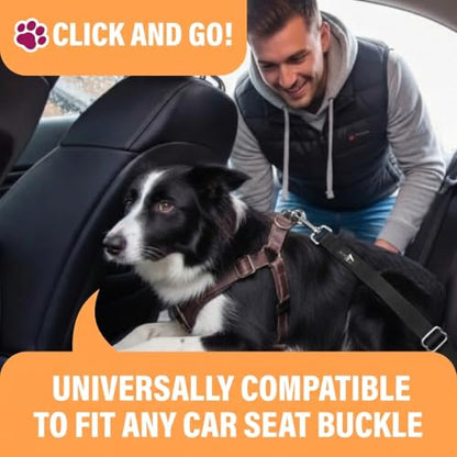 Active Pets Black Car Seat Belt for Dogs, Attaches to Harness & Collar, Adjustable 18" - 24" Travel Restraint System Fits Small - Large Pups for Safety & Comfort, Essential Pet Supplies & Accessories - style: Black - 1 Pack