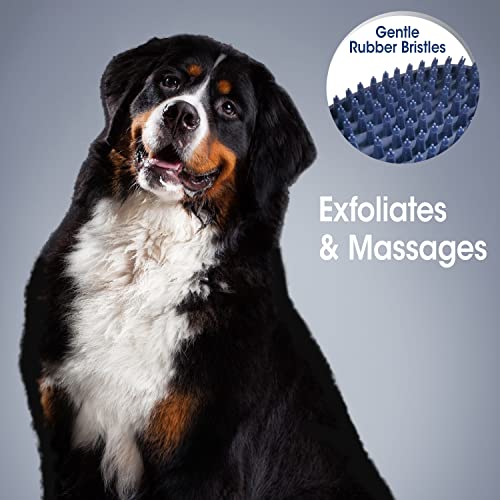 Four Paws Magic Coat Professional Series Grooming All-in-One Wet & Dry Detangling Brush for Dogs, 1 Count - size: One Size